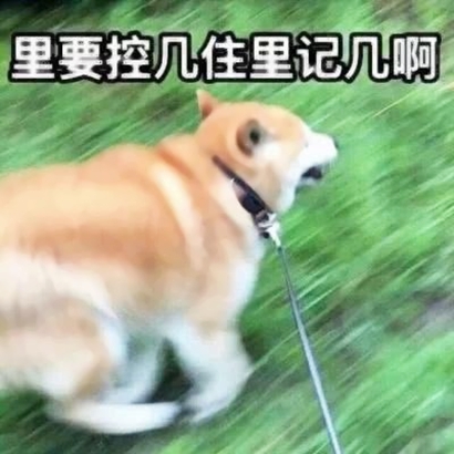 高清搞笑的沙雕动物情侣头像可爱图片 可爱沙雕动物情头