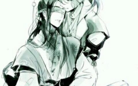 魔道祖师图片情侣头像