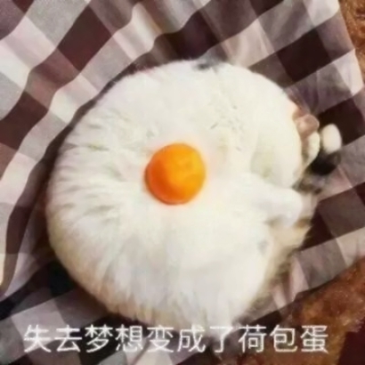 高清搞笑的傻叼情头图片 沙雕情头一男一女