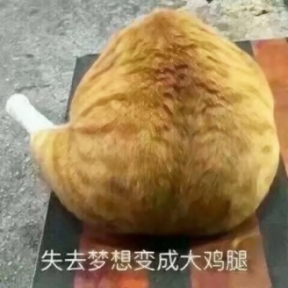 高清搞笑的傻叼情头图片 沙雕情头一男一女