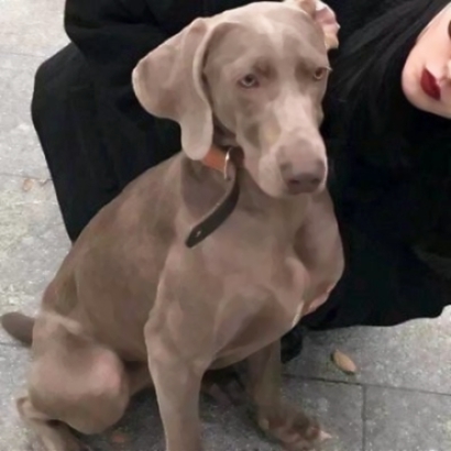 高清搞笑的傻叼情头图片 沙雕情头一男一女