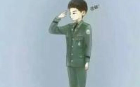 兵哥哥兵嫂卡通动漫情侣头像一对