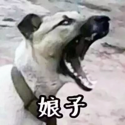 高清沙雕的搞笑情侣头像两张一组 搞笑情侣头像高清一对两张