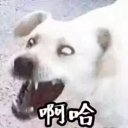 高清沙雕的搞笑情侣头像两张一组 搞笑情侣头像高清一对两张