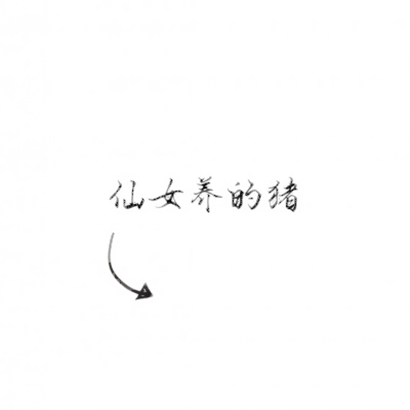 高清好看的文字情头一对特别 纯文字情头图片大全