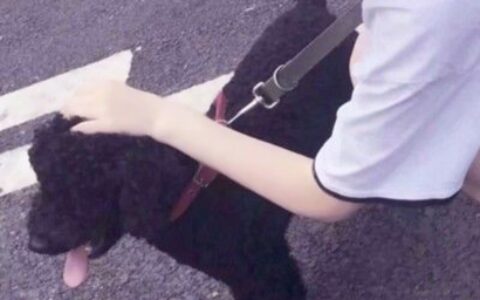 高清可爱的对象不是人系列头像图片 对象不是人情头