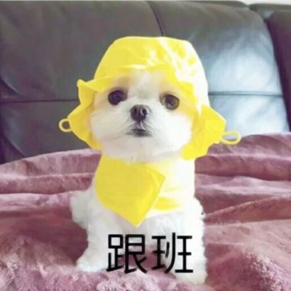 高清好看的动物情头一左一右可爱图片 动物情头高清