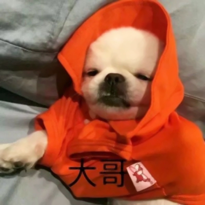 高清好看的动物情头一左一右可爱图片 动物情头高清