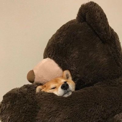 内心充实甜蜜的热烈情侣头像 看起来超幸福的精致情侣头像