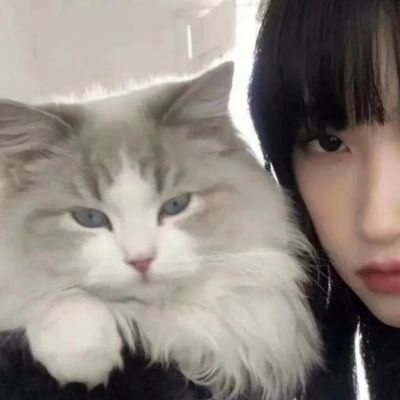 幸福浪漫的最新版情头合集 优质一人一张的好看的全新情头大全