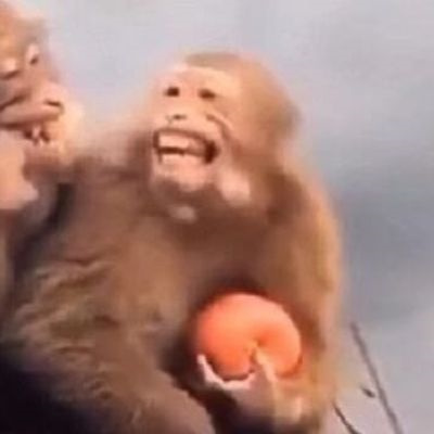 小众不易被发现的个性情头 独一无二搞笑个性的情侣头像图片