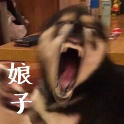 小众不易被发现的个性情头 独一无二搞笑个性的情侣头像图片