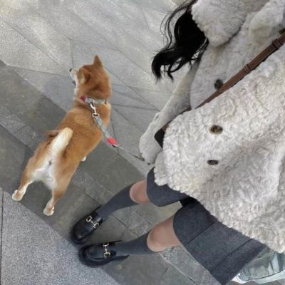 最新小众精致的情头图片合集 真人对象不是人系列情侣头像图片