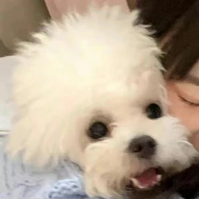 最新小众精致的情头图片合集 真人对象不是人系列情侣头像图片