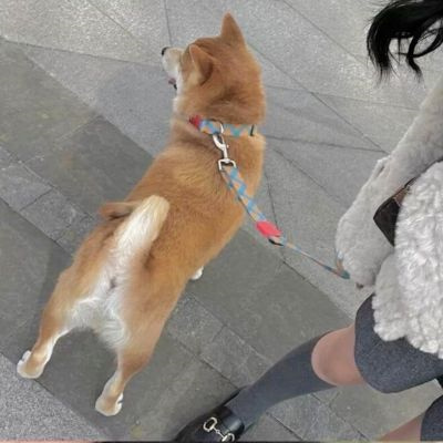 最新小众精致的情头图片合集 真人对象不是人系列情侣头像图片