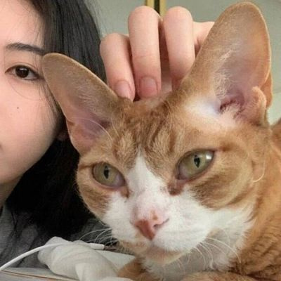 最新小众精致的情头图片合集 真人对象不是人系列情侣头像图片