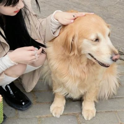 最新小众精致的情头图片合集 真人对象不是人系列情侣头像图片
