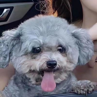 最新小众精致的情头图片合集 真人对象不是人系列情侣头像图片
