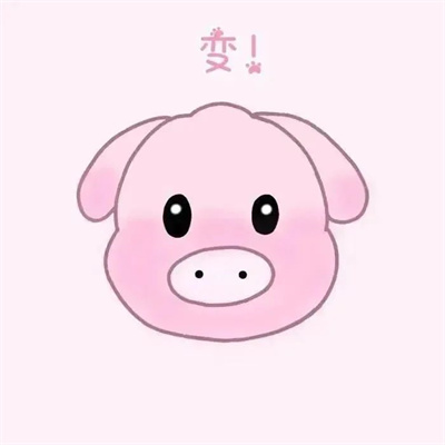 创意满分另类的小清新情侣头像 独一无二个性好看的情头一人一个