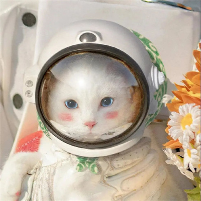 抖音很火的唯美太空人情侣头像 宇航员系列情侣头像一左一右