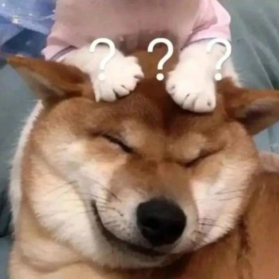 可爱到爆的情侣动物头像合集 巨甜且好看的动物系列情侣头像一对