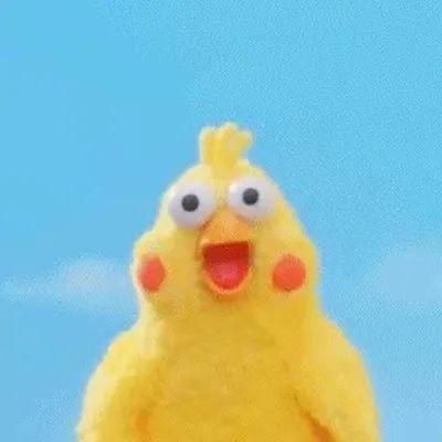 高质量呆萌可爱动物头像合集 最近很火的猫咪头像2022图片大全