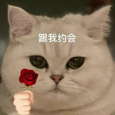 你是可爱的人我是可爱搞怪头像 一些可爱的人头像图片超喜欢
