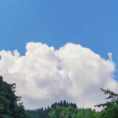 发现生活的美好图片头像集 可爱风景头像图片背景图大全