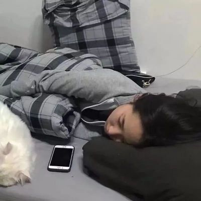 情侣头像萌猫超甜图片合集 高质量可爱情侣双人动物情头