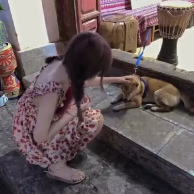 唯美头像情侣真人 浪漫意境情侣图片