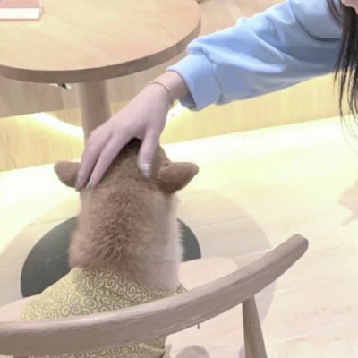 高清可爱女生有地位的情侣头像图片 情侣头像凸显女生地位