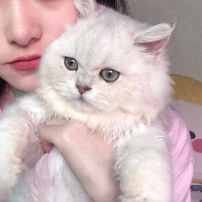 高清好看的情头真人温柔宠溺图片 真人宠溺情头一左一右