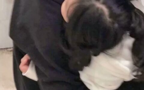 高清一对两张甜爆的情头图片 男女超甜情头
