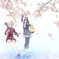 浪漫樱花树下的情侣头像图片 qq头像樱花情侣头像