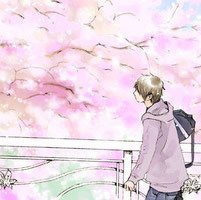 浪漫樱花树下的情侣头像图片 qq头像樱花情侣头像