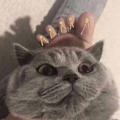 高清可爱的萌猫咪情侣头像一对两张图片