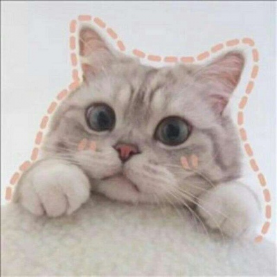 高清可爱的萌猫咪情侣头像一对两张图片
