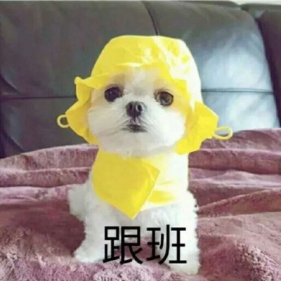 高清超萌的动物情头可爱一对两张图片 可爱情头动物