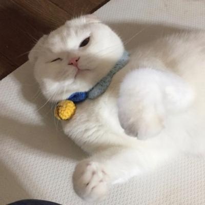高清一对两张好看的微信情侣图像 微信好看情头
