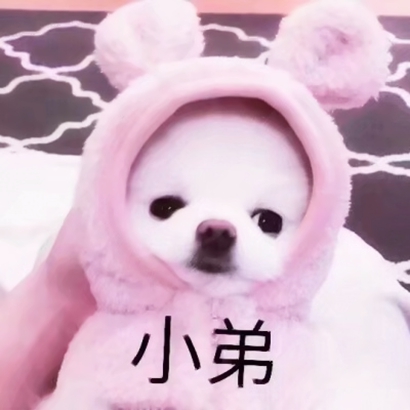 高清可爱智障一点的情头图片 智障又可爱的情头