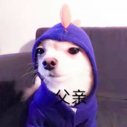 高清可爱智障一点的情头图片 智障又可爱的情头