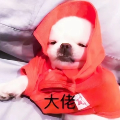 高清可爱智障一点的情头图片 智障又可爱的情头