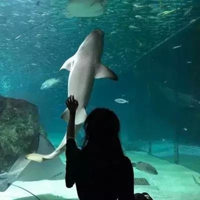 高清好看的真人情侣头像漂亮帅气一对两张 真人情头一男一女两张