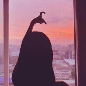 高清单人的情侣头像黄昏背影图片头像 夕阳情侣头像一左一右