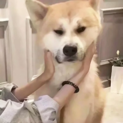 高清搞怪用的搞笑恶搞情头一对两张图片 搞笑情头一对两张逗比