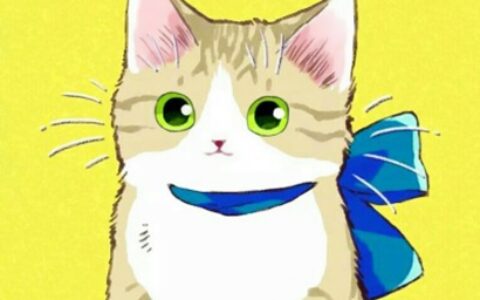 高清可爱的动漫猫咪情头一左一右图片 动漫猫咪情头图片