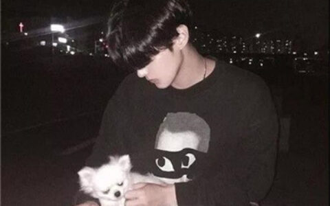 高清好看的情侣头像抱着猫咪帅气图片 情侣头像一男一女带猫