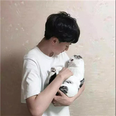高清好看的情侣头像抱着猫咪帅气图片 情侣头像一男一女带猫