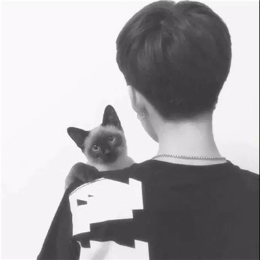 高清好看的情侣头像抱着猫咪帅气图片 情侣头像一男一女带猫