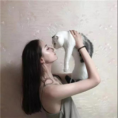 高清好看的情侣头像抱着猫咪帅气图片 情侣头像一男一女带猫